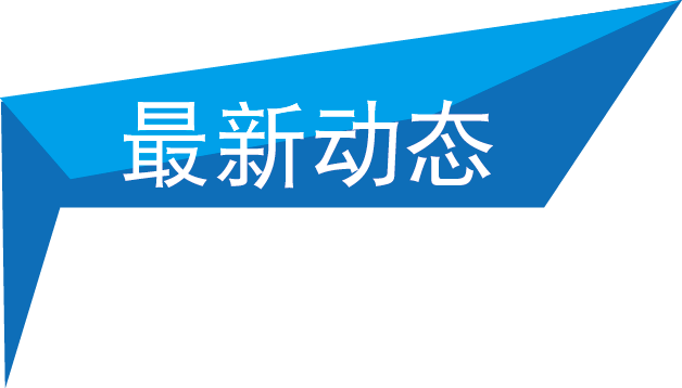 最新动态