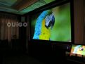 ViVi Crystal Screen